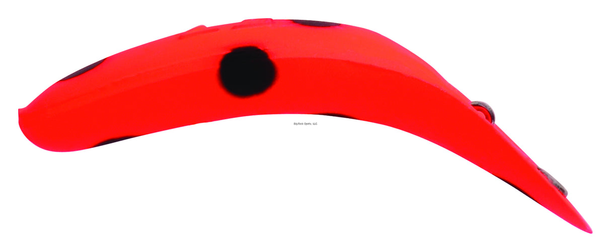 Yakima Bait 958 FRBS Flatfish Wiggling