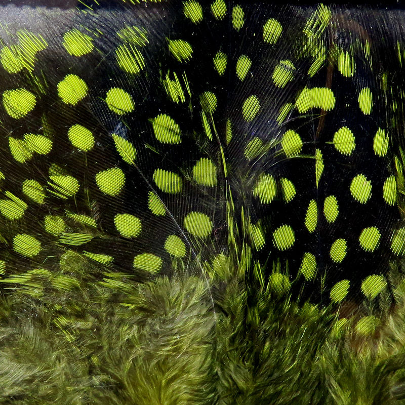 Hareline Dubbin UV2 Large Eyed Guinea Feathers