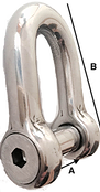 Gloma Flush Pin 'd' Shackle - 5/16"