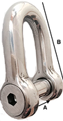 Gloma Flush Pin 'd' Shackle