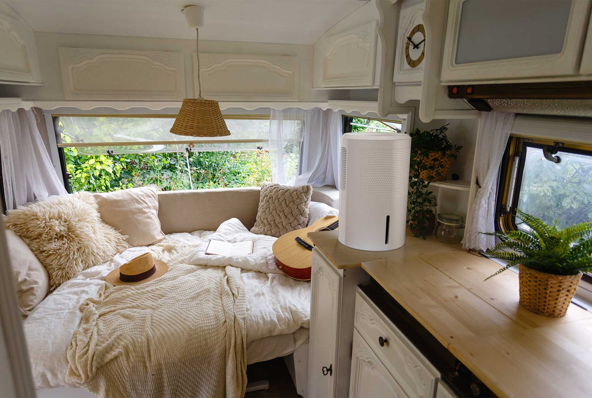 Eva-Dry EDV-2400 Large Dehumidifier with Humidistat (+ 3 Ft Drain Hose Included!)