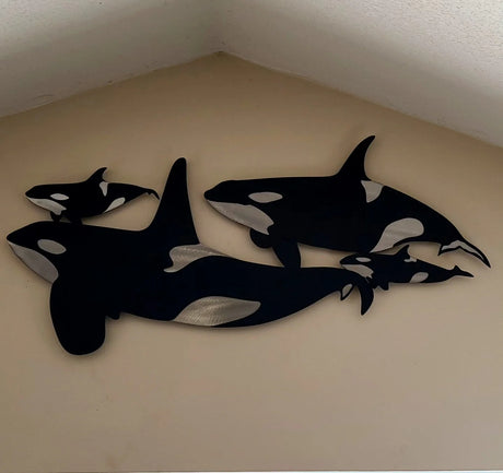 Ruggid Coast Orca Whale Pod/Swimming Underwater