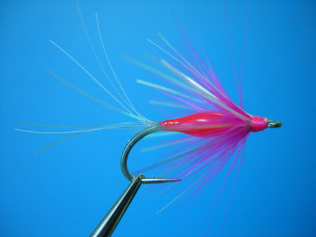 Dragonfly Brite Fly Hot Pink