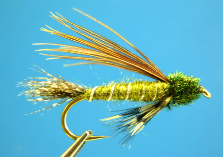 Dragonfly Doc Spratley Olive