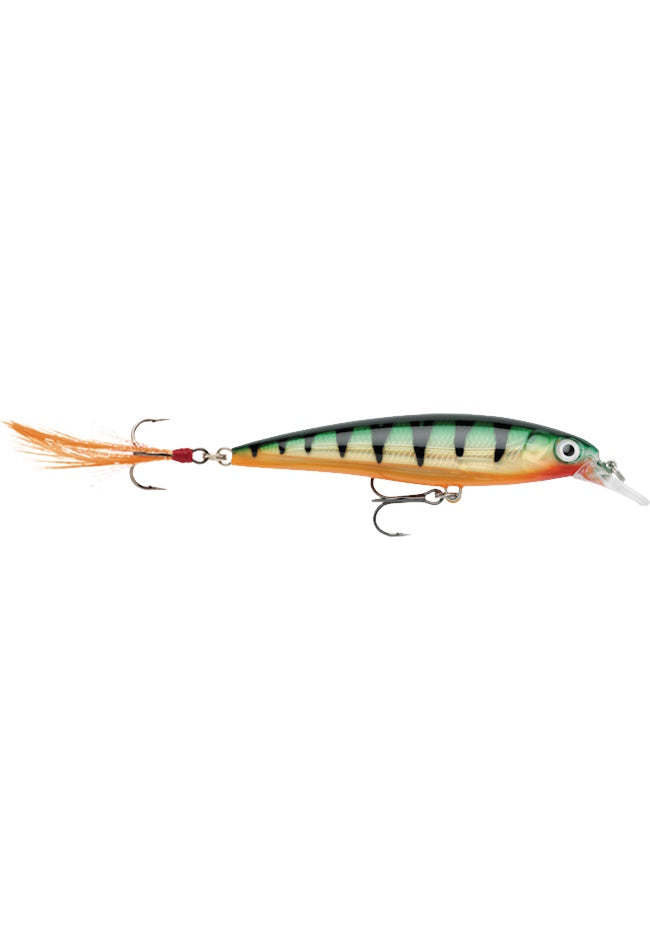 Rapala X-Rap 3-1/8" XR08 - Perch