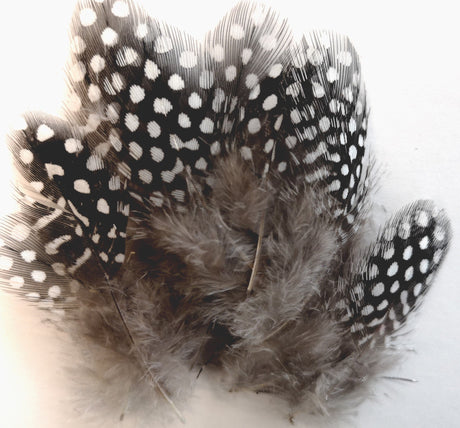 Hareline Dubbin UV2 Large Eyed Guinea Feathers