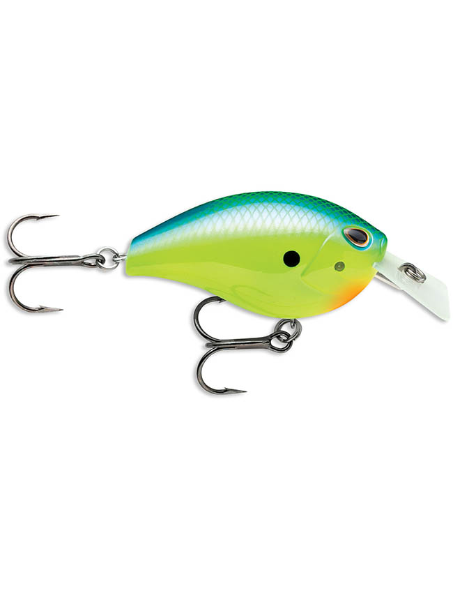 Arashi Silent Square #3 - Parrot