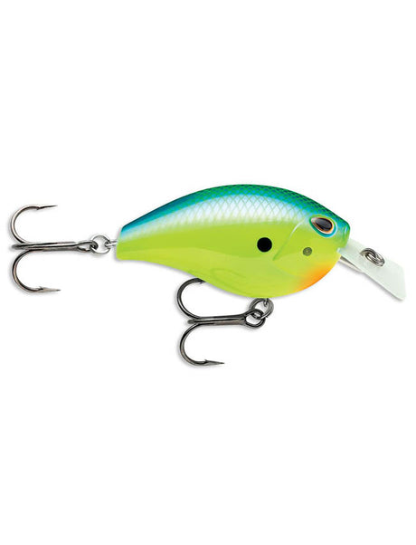 Arashi Silent Square #5 - Parrot