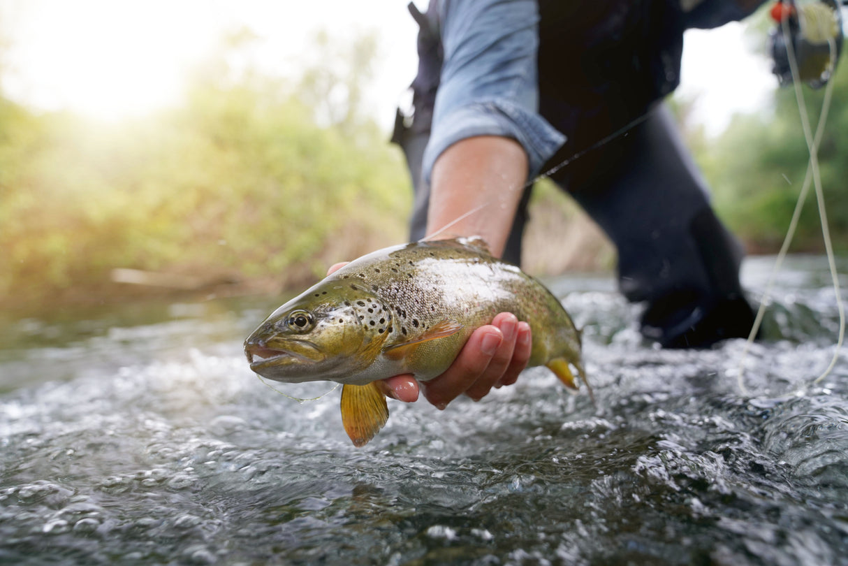 Trout Fishing Starter Kit – Rod, Reel, Flies & Net