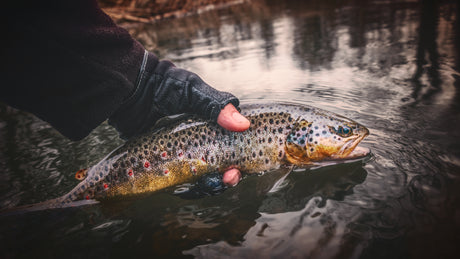 Trout Fishing Bait & Lure Kit