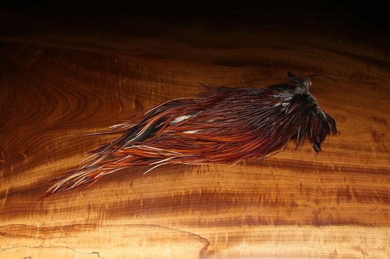 Dyed over White Saddle Patch - Brown - Hackle - Fly Fish Food