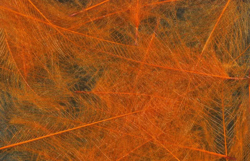 Hareline UV2 Select CDC Feathers - Rust #086 Hareline Dubbin