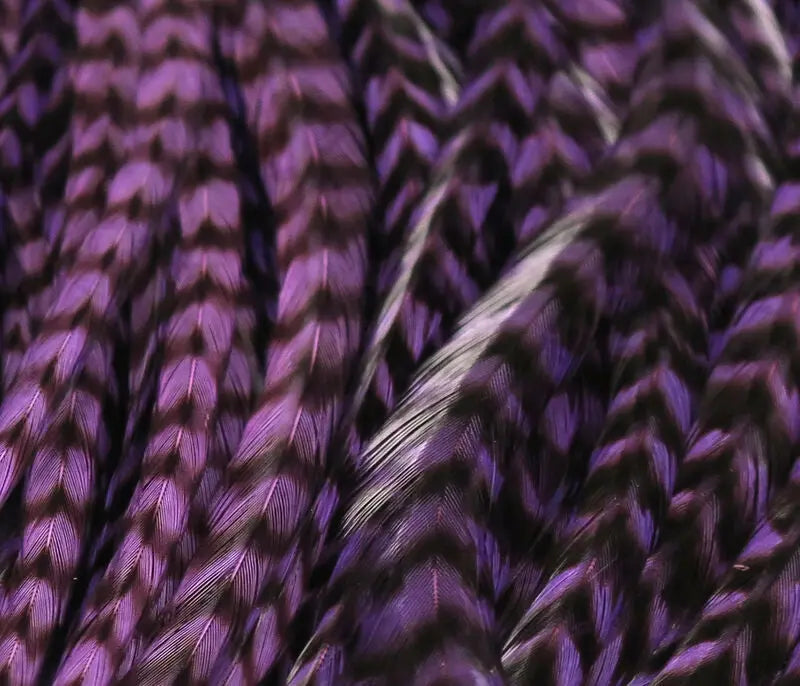 Hareline Half Grizzly Saddle - Purple #298 Hareline Dubbin