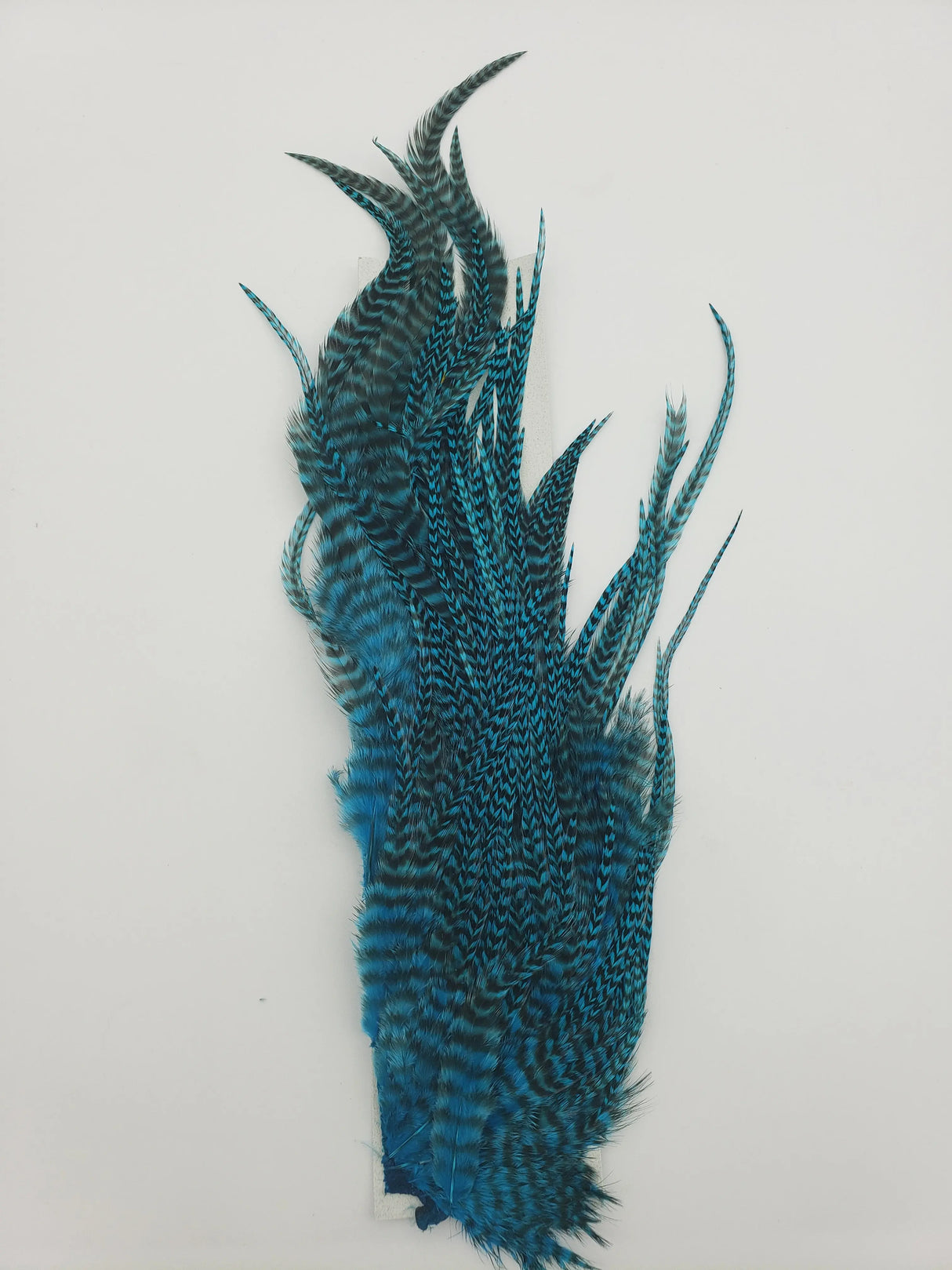 Hareline Half Grizzly Saddle - Teal Blue #371 Hareline Dubbin