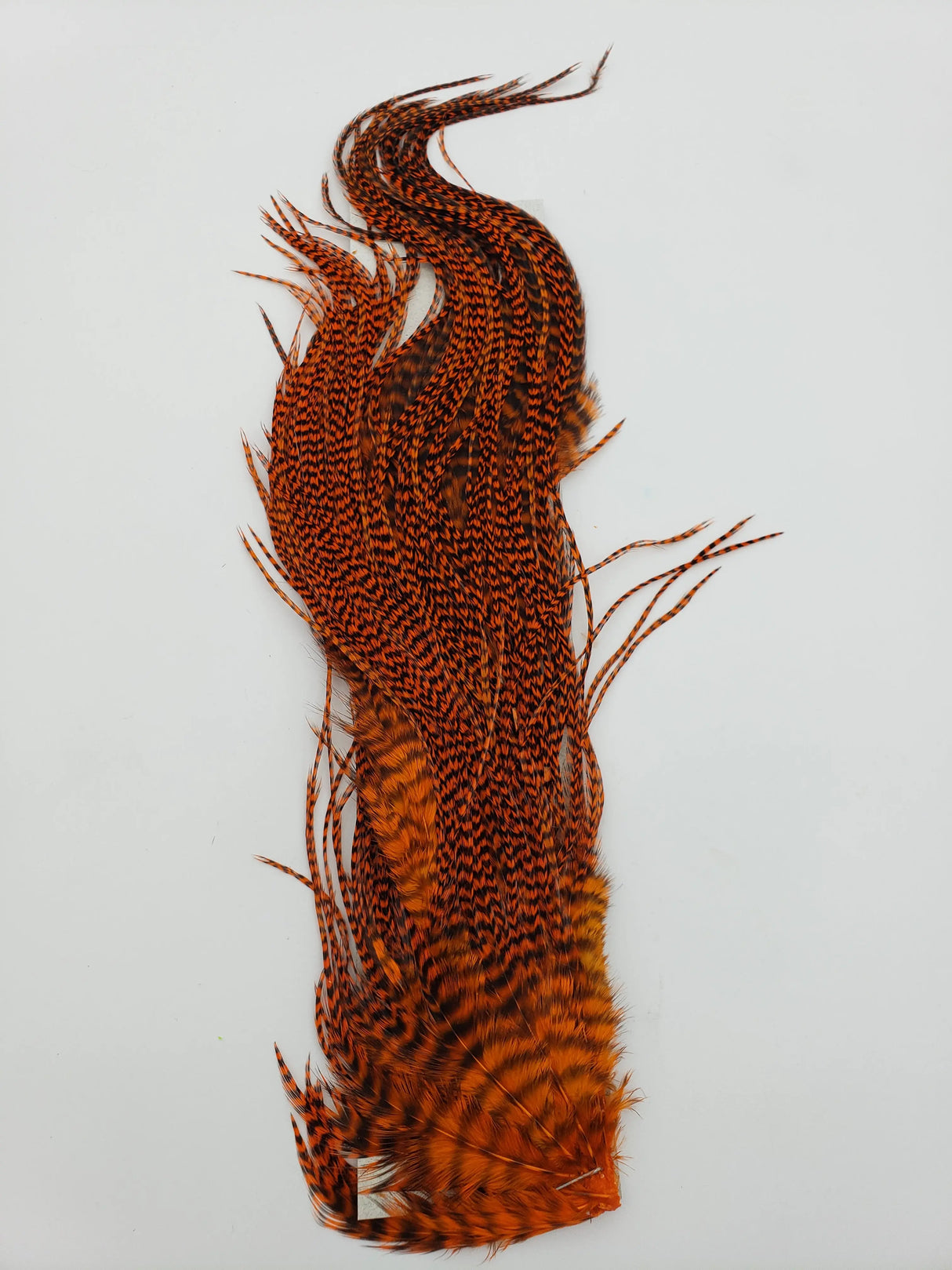Hareline Half Grizzly Saddle - Orange #271 Hareline Dubbin