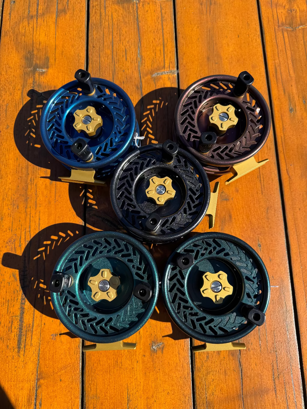 Coast DR3 Mooching Reel - Teal with Gold