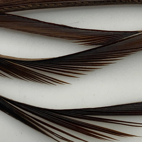 Hareline Stripped Goose Biots - Prince Nymph Brown #395 Hareline Dubbin