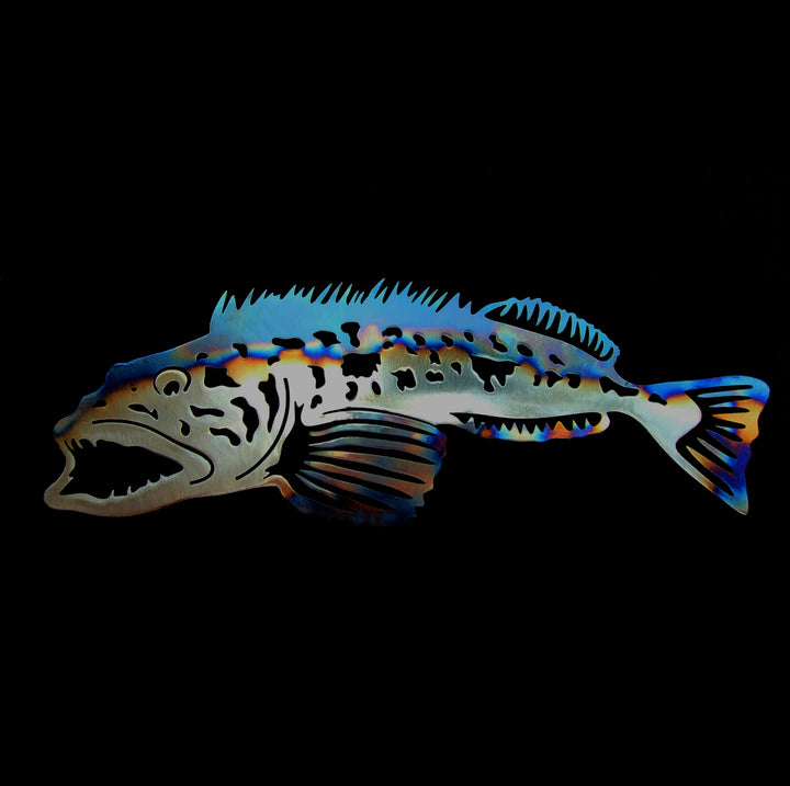 Ruggid Coast Lingcod 24"