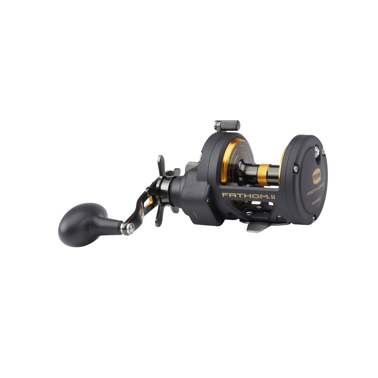 Penn Fathom II Star Drag Conventional Reel