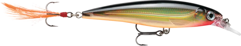 Rapala X-Rap Jerkbait 3-1/8" 1/4oz XR08 - Gold Suspending Rapala