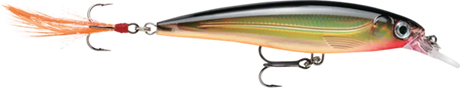 Rapala X-Rap Jerkbait 3-1/8" 1/4oz XR08 - Gold Suspending Rapala