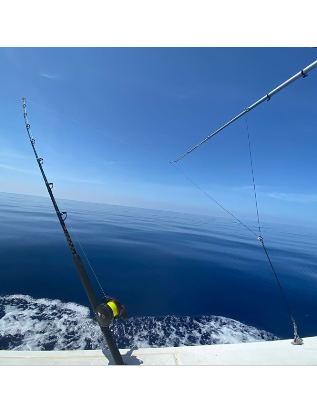 Taco Aluminum Tele-Outrigger Poles - 15' Black & Gold (OT-0542BKA15-HD)