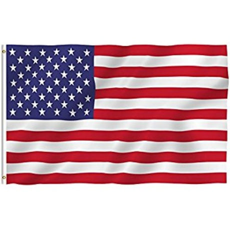 United States Flags - 18" X 9"