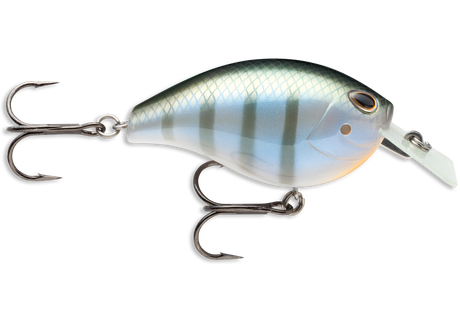 Arashi Silent Square #3 - Bluegill