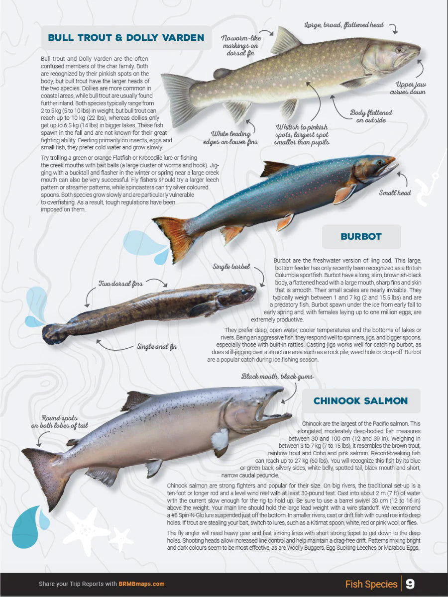 Thomson Okanagan Fishing Charts