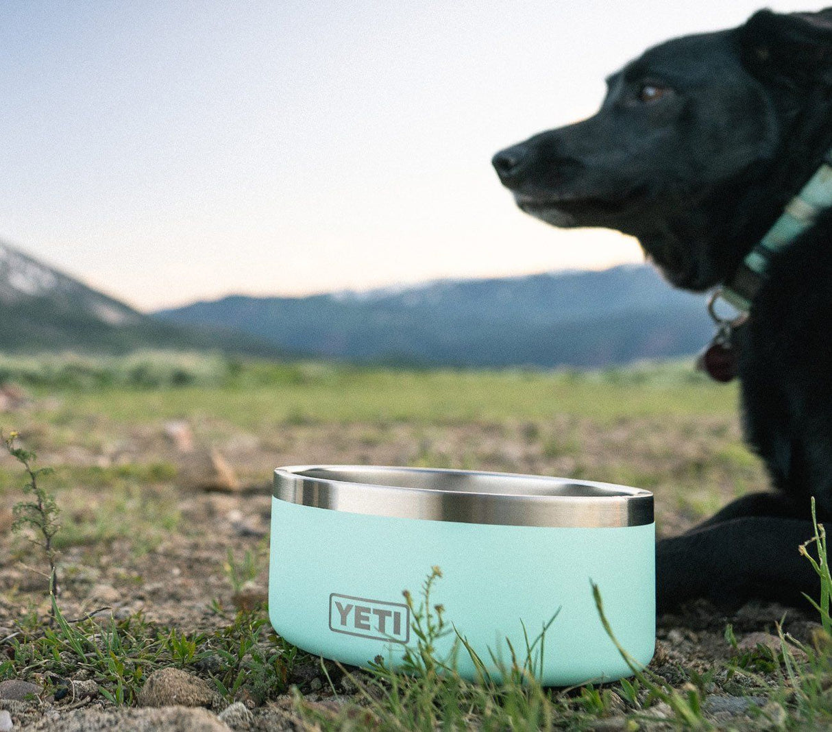 Yeti Boomer 4 Dog Bowl - Charcoal 70000003507 - Seafoam