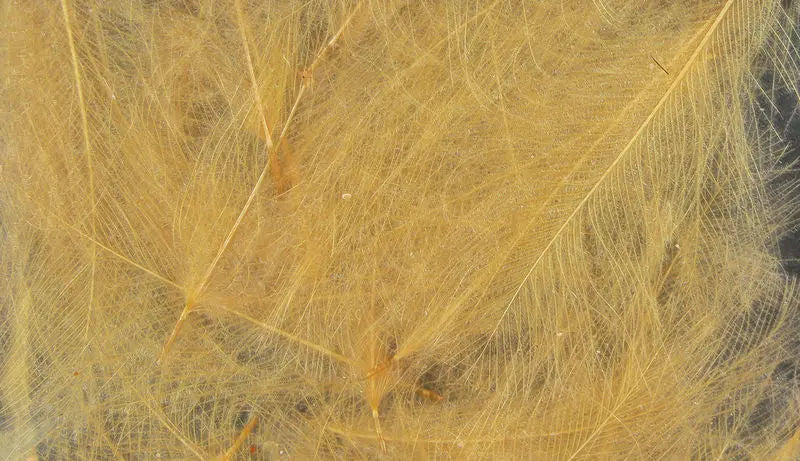 Hareline UV2 Select CDC Feathers - Light Brown #005 Hareline Dubbin
