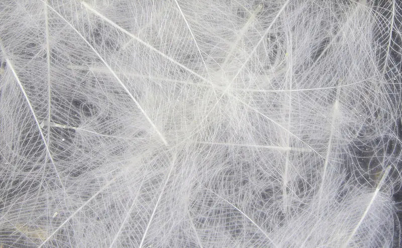 Hareline UV2 Select CDC Feathers - White #027 Hareline Dubbin