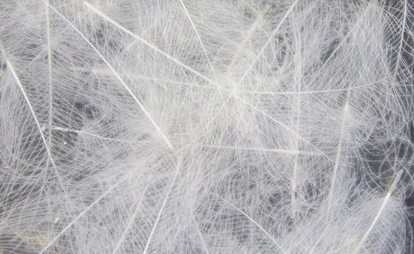 Hareline UV2 Select CDC Feathers - White #027 Hareline Dubbin