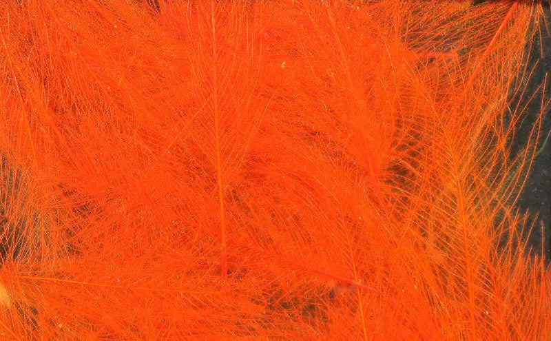 Hareline UV2 Select CDC Feathers - Fluorescent Orange #131 Hareline Dubbin