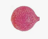 Pink textured ball on a white background