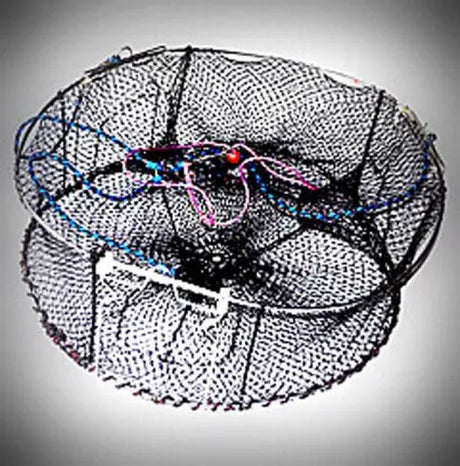 Flex Fold Prawn Trap