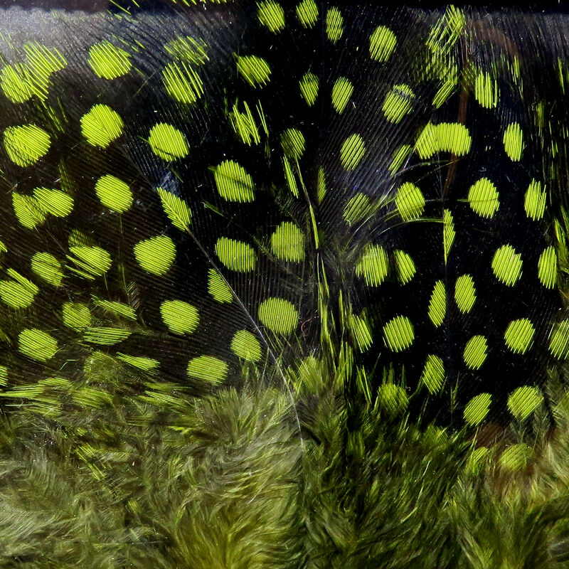 Hareline Dubbin UV2 Large Eyed Guinea Feathers