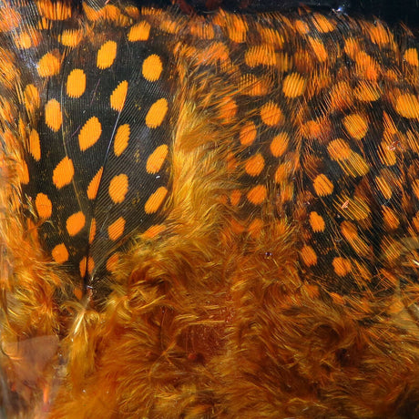 Hareline Dubbin UV2 Large Eyed Guinea Feathers