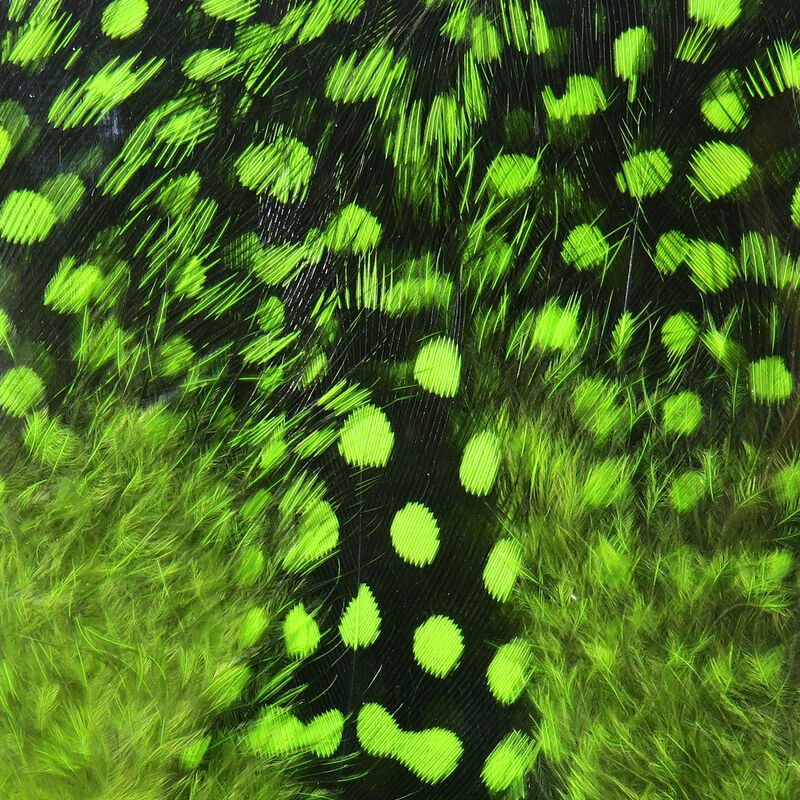 Hareline Dubbin UV2 Large Eyed Guinea Feathers