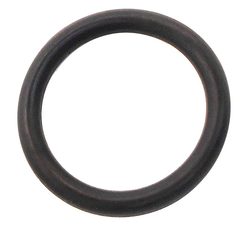 Jabsco Piston 'o'ring 29017-1000