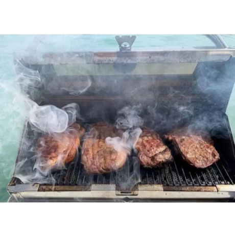 *Magma Trailmate Gas Grill BBQ A10-801-CSA