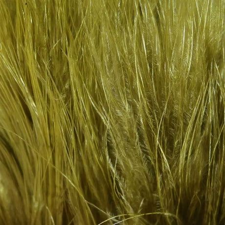Hareline Marabou Strung Blood Quills - Olive #263 Hareline Dubbin