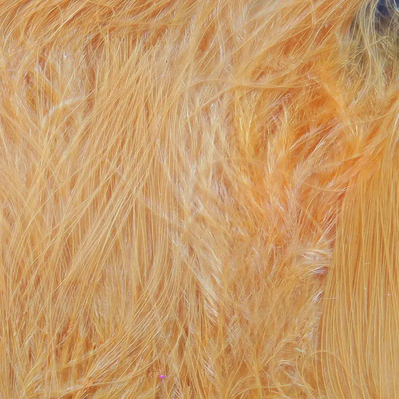 Hareline Marabou Strung Blood Quills - Peach #281 Hareline Dubbin