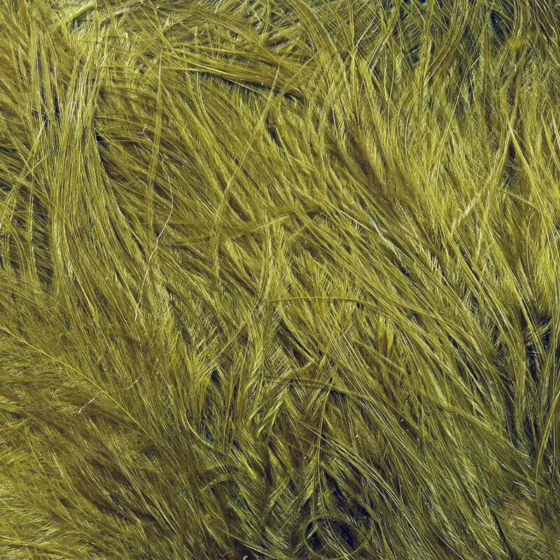 Hareline UV2 Marabou Feathers - Olive Brown Hareline Dubbin