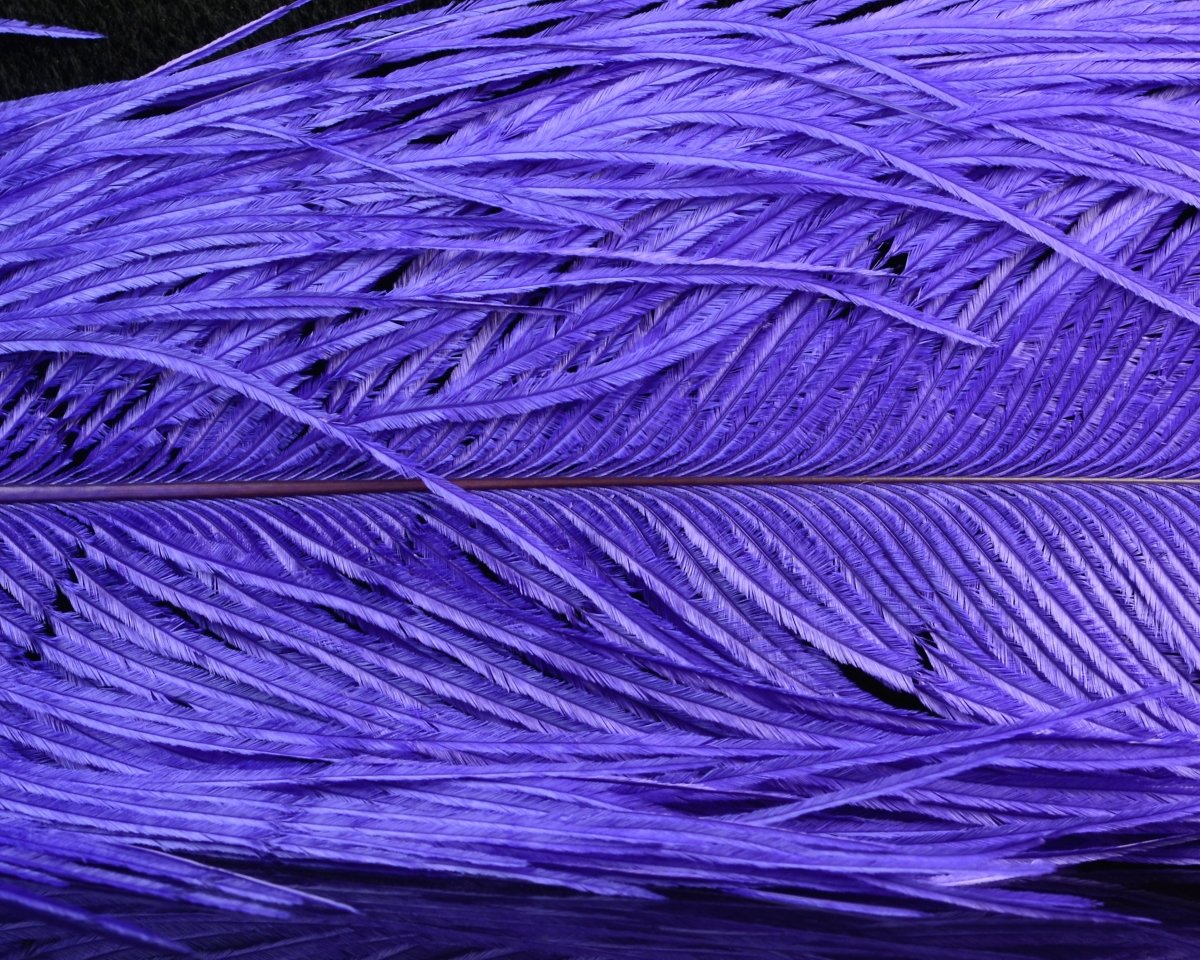 Spirit River UV2 Ostrich Plume - Spawn Fly Fish - Spirit River