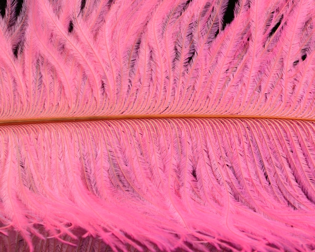 Spirit River UV2 Ostrich Plume - Spawn Fly Fish - Spirit River