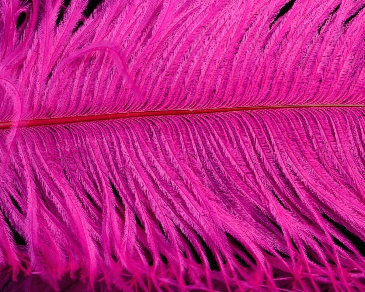 Spirit River UV2 Ostrich Plume - Spawn Fly Fish - Spirit River