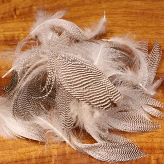 Hareline Pintail Flank Feathers Hareline Dubbin