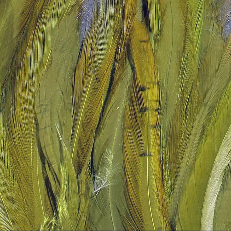 Hareline UV2 Strung Saddle Hackle - Olive #030 Hareline Dubbin