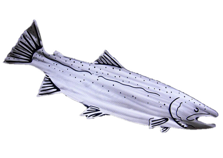 Ruggid Coast Pacific Steelhead